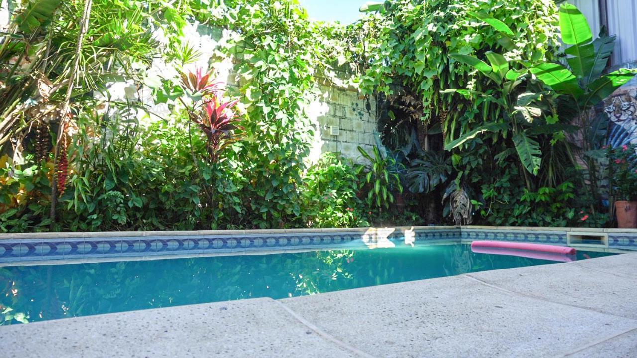 Managua Apart Hotel Пуэрто-Игуасу Экстерьер фото